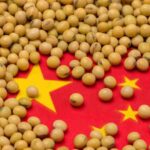 China Soybean Imports Slip 9% in November But Remain on Track for Record Annual High