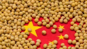 China Soybean Imports Slip 9% in November But Remain on Track for Record Annual High