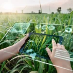 Barcelona-based HEMAV Raises €8 Million to Advance AI-Driven Sustainable Agriculture