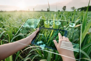 Barcelona-based HEMAV Raises €8 Million to Advance AI-Driven Sustainable Agriculture