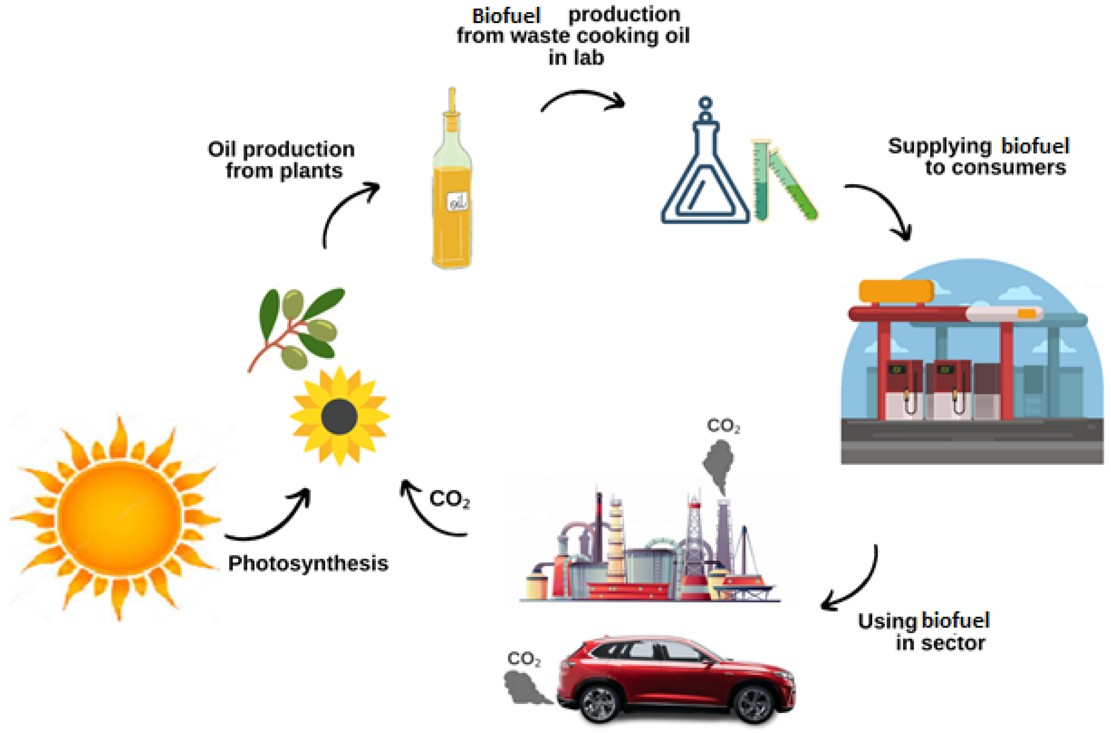 Unity Foods Moves Towards Exporting Sustainable Biofuel Feedstock