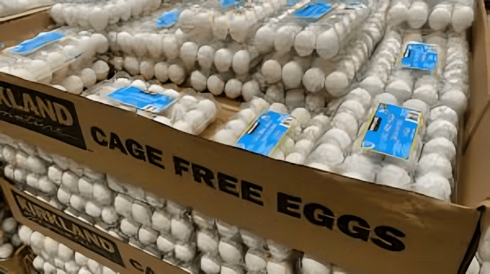 You are currently viewing FDA Elevates Costco Egg Recall to Highest Risk Level Over Salmonella Concerns