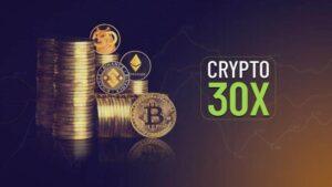 Read more about the article A Comprehensive Guide to Crypto30x.com: Features, Benefits, and Considerations